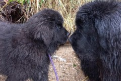 St-Suliac-23-novembre-2025-1